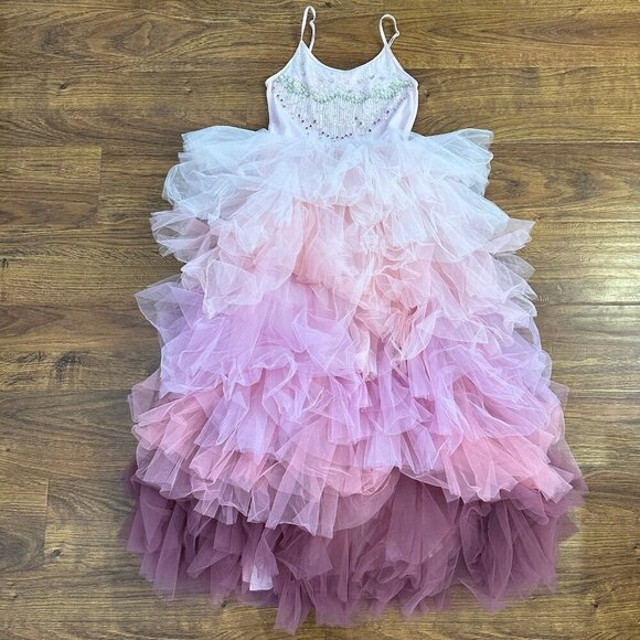 Tutu Du Monde Fall Jewel Flower Tutu Dress - Picture 2 of 7